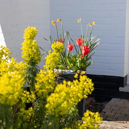 Vakantiehuis La Bouriette Koksijde